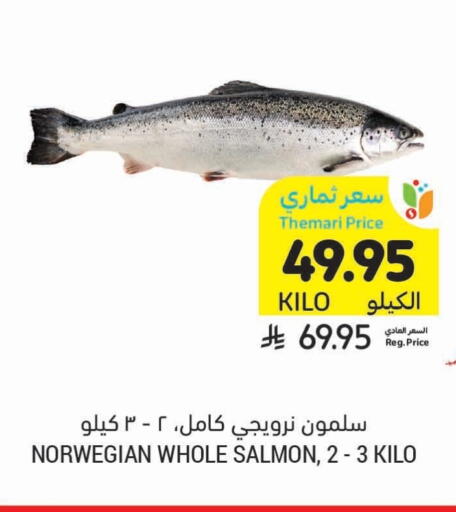 available at أسواق التميمي in مملكة العربية السعودية, السعودية, سعودية - أبها