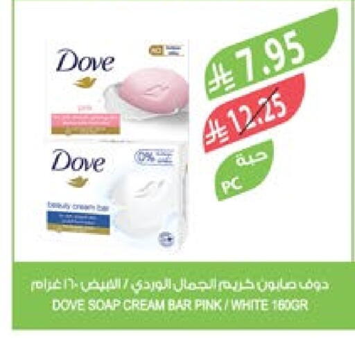 DOVE available at Farm  in KSA, Saudi Arabia, Saudi - Al Khobar