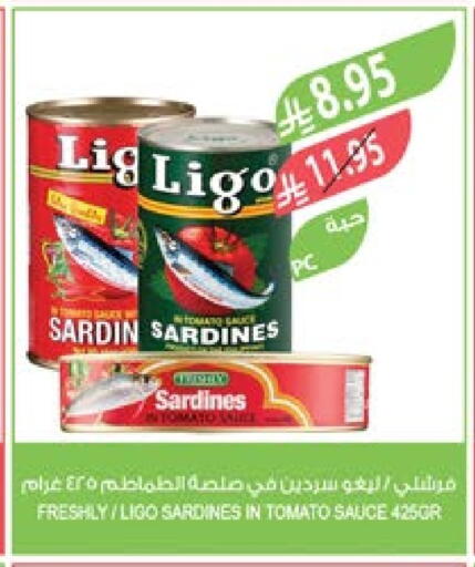 FRESHLY Sardines - Canned available at Farm  in KSA, Saudi Arabia, Saudi - Al Bahah