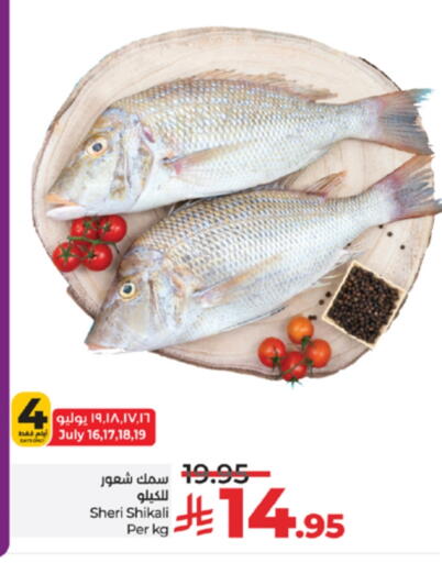 available at لولو هايبرماركت in مملكة العربية السعودية, السعودية, سعودية - مكة المكرمة