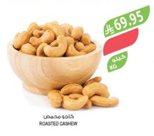 available at Farm  in KSA, Saudi Arabia, Saudi - Tabuk