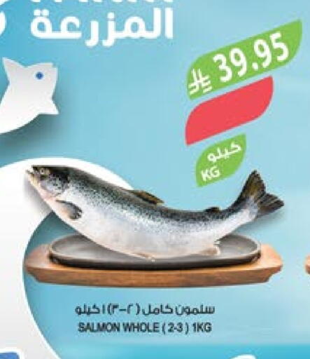 available at المزرعة in مملكة العربية السعودية, السعودية, سعودية - أبها