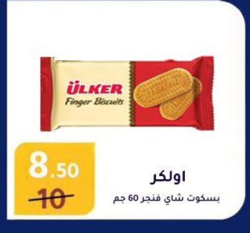 available at Wekalet Elmansoura - Dakahlia  in Egypt - Cairo