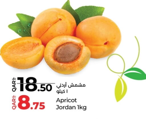 Apricot available at لولو هايبرماركت in قطر - الضعاين