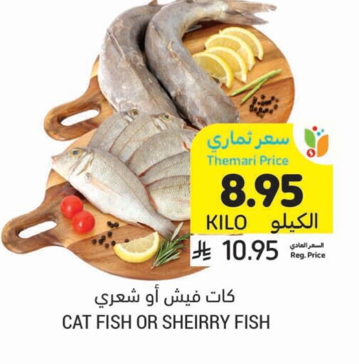 available at أسواق التميمي in مملكة العربية السعودية, السعودية, سعودية - أبها