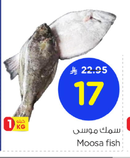 available at Nesto in KSA, Saudi Arabia, Saudi - Riyadh