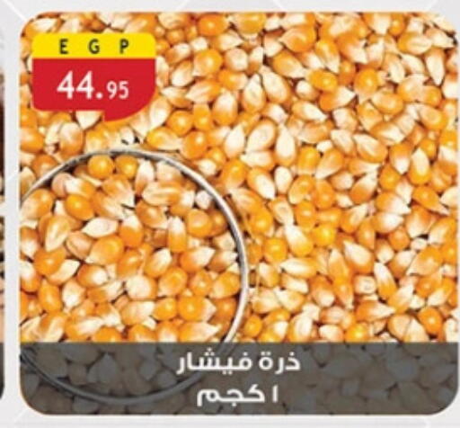 available at الرايه  ماركت in Egypt - القاهرة
