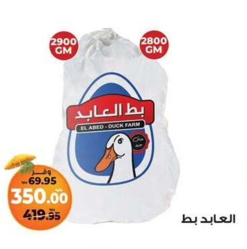 available at كازيون in Egypt - القاهرة