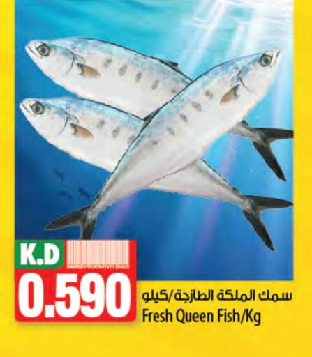 Mango available at مانجو هايبرماركت in الكويت - محافظة الأحمدي
