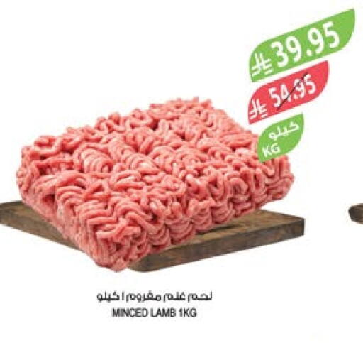 لحم الضأن / الغنم available at المزرعة in مملكة العربية السعودية, السعودية, سعودية - تبوك