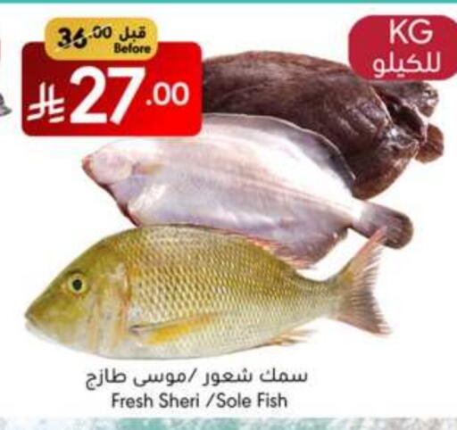 available at مانويل ماركت in مملكة العربية السعودية, السعودية, سعودية - جدة