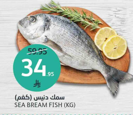 available at AlJazera Shopping Center in KSA, Saudi Arabia, Saudi - Riyadh