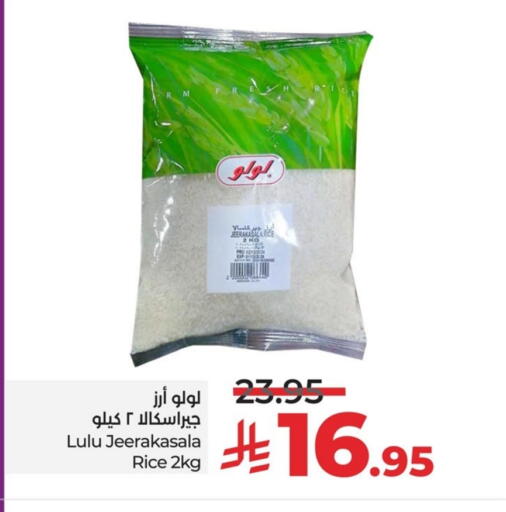 لولو available at لولو هايبرماركت in مملكة العربية السعودية, السعودية, سعودية - المنطقة الشرقية
