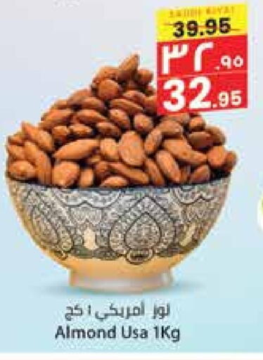 available at City Flower in KSA, Saudi Arabia, Saudi - Hail