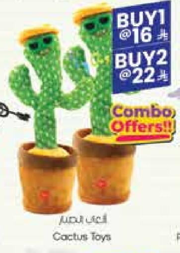 available at City Flower in KSA, Saudi Arabia, Saudi - Hail