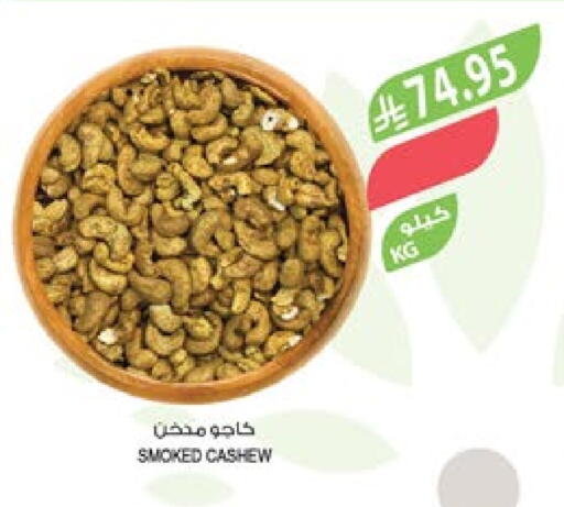 available at Farm  in KSA, Saudi Arabia, Saudi - Tabuk