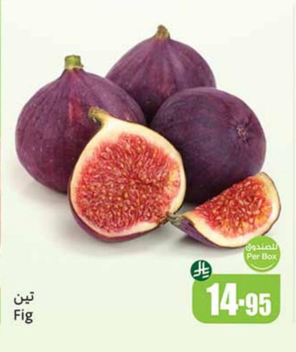 Fig available at Othaim Markets in KSA, Saudi Arabia, Saudi - Unayzah