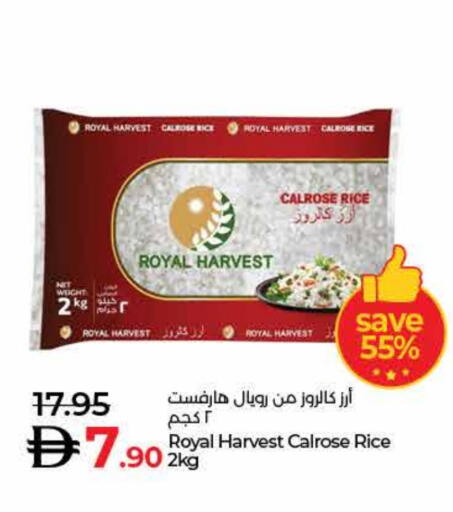 Calrose Rice available at Lulu Hypermarket in UAE - Fujairah