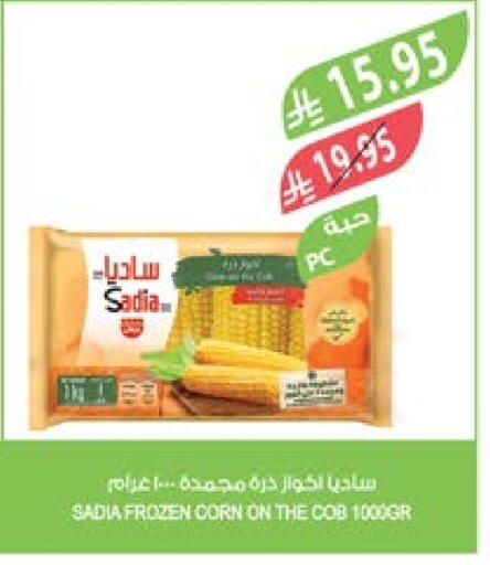 SADIA available at Farm  in KSA, Saudi Arabia, Saudi - Riyadh