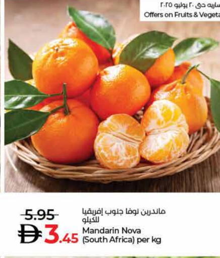 برتقال from South Africa available at لولو هايبرماركت in الإمارات العربية المتحدة , الامارات - ٱلْفُجَيْرَة‎