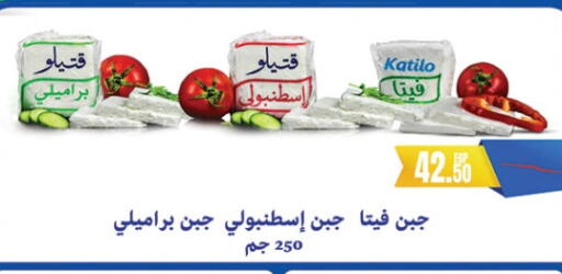 كتيلو فيتا available at الرايه  ماركت in Egypt - القاهرة