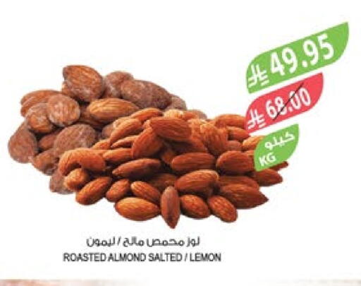 Lemon available at Farm  in KSA, Saudi Arabia, Saudi - Al-Kharj
