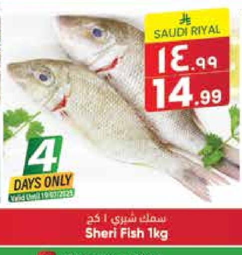 available at City Flower in KSA, Saudi Arabia, Saudi - Riyadh