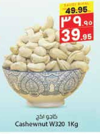 available at City Flower in KSA, Saudi Arabia, Saudi - Hail