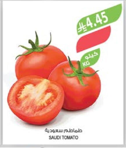 Tomato from Saudi Arabia available at Farm  in KSA, Saudi Arabia, Saudi - Yanbu