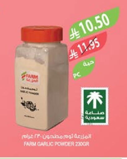 Garlic available at المزرعة in مملكة العربية السعودية, السعودية, سعودية - الباحة
