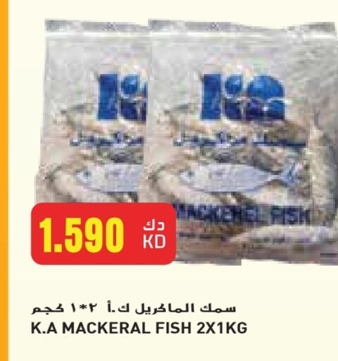 Frozen Fish in Grand Costo, Kuwait Offers - Kuwait available at Grand Costo in Kuwait - Kuwait City