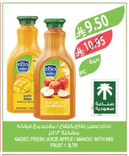NADEC available at Farm  in KSA, Saudi Arabia, Saudi - Jazan