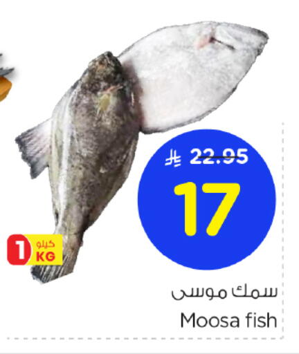 available at Nesto in KSA, Saudi Arabia, Saudi - Riyadh