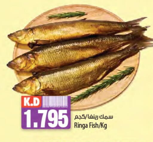 Mango available at مانجو هايبرماركت in الكويت - محافظة الأحمدي