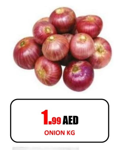 بصل available at جفت داي هايبرماركت in الإمارات العربية المتحدة , الامارات - الشارقة / عجمان