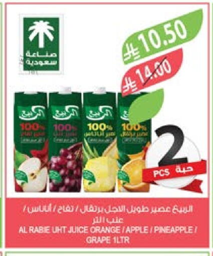 AL RABIE available at Farm  in KSA, Saudi Arabia, Saudi - Yanbu