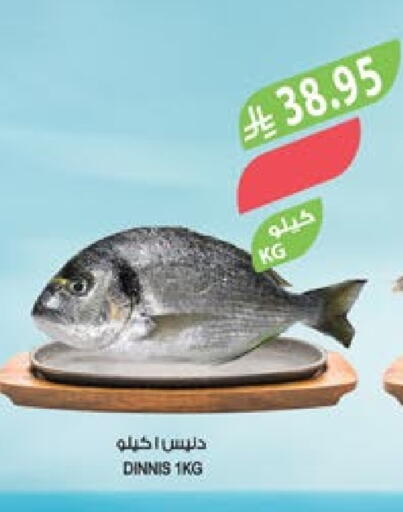 available at المزرعة in مملكة العربية السعودية, السعودية, سعودية - أبها