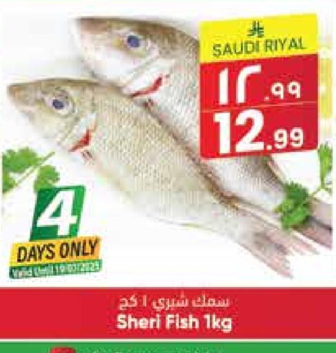 available at ستي فلاور in مملكة العربية السعودية, السعودية, سعودية - حائل‎
