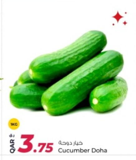 Cucumber from Qatar available at Rawabi Hypermarket in Qatar - Umm Salal