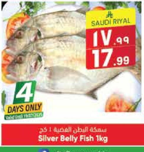 available at ستي فلاور in مملكة العربية السعودية, السعودية, سعودية - حائل‎