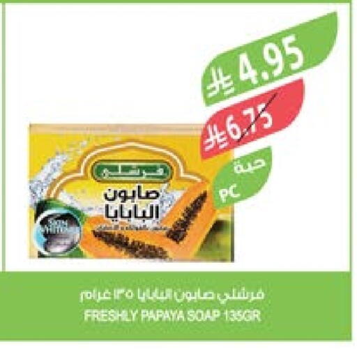 Papaya available at Farm  in KSA, Saudi Arabia, Saudi - Al Bahah