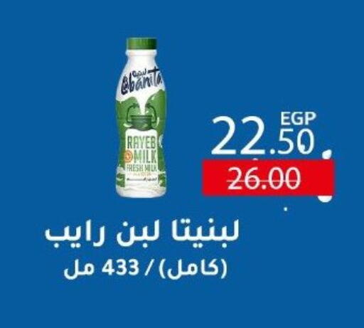 Laban available at Wekalet Elmansoura - Dakahlia  in Egypt - Cairo
