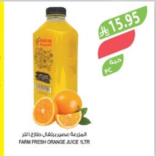 Orange available at Farm  in KSA, Saudi Arabia, Saudi - Arar
