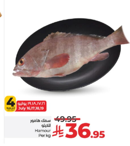 available at لولو هايبرماركت in مملكة العربية السعودية, السعودية, سعودية - مكة المكرمة