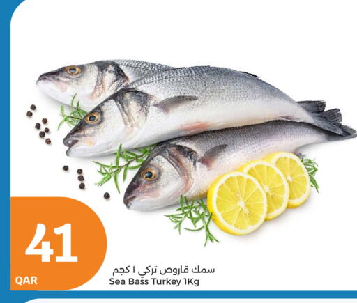 available at City Hypermarket in Qatar - Al Daayen
