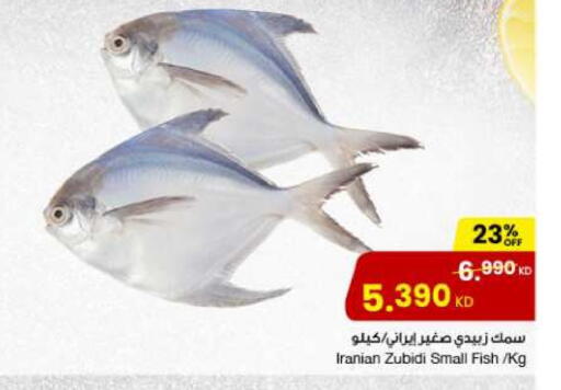 available at The Sultan Center in Kuwait - Kuwait City