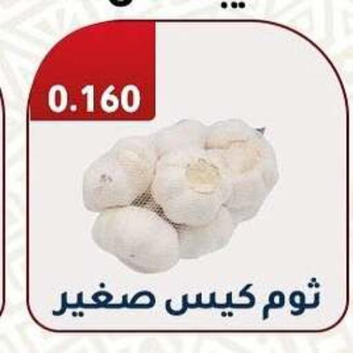 Garlic available at Al Fahaheel Co - Op Society in Kuwait - Ahmadi Governorate