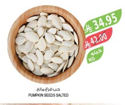 Pumpkin available at Farm  in KSA, Saudi Arabia, Saudi - Yanbu