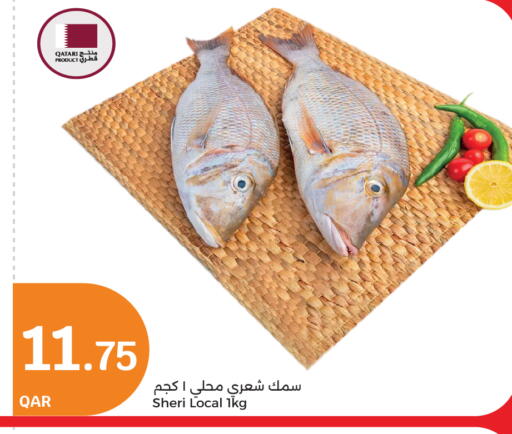 available at City Hypermarket in Qatar - Doha