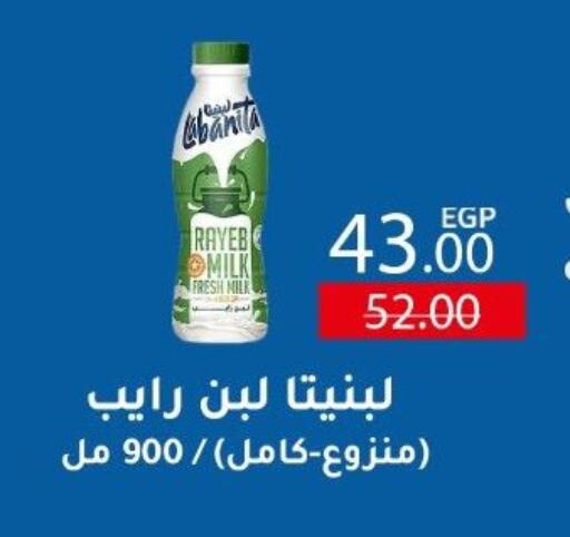 Fresh Milk available at Wekalet Elmansoura - Dakahlia  in Egypt - Cairo